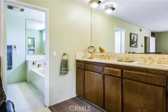 Master bathroom with large spa tub.