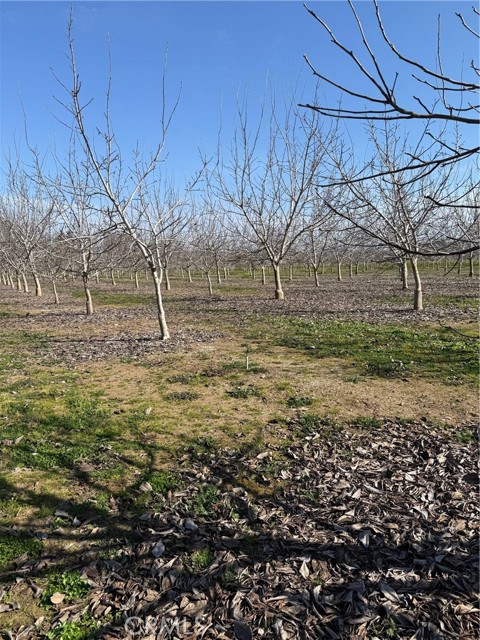 Detail Gallery Image 10 of 18 For 0 Mcfadden Ln, Chico,  CA 95928 - – Beds | – Baths