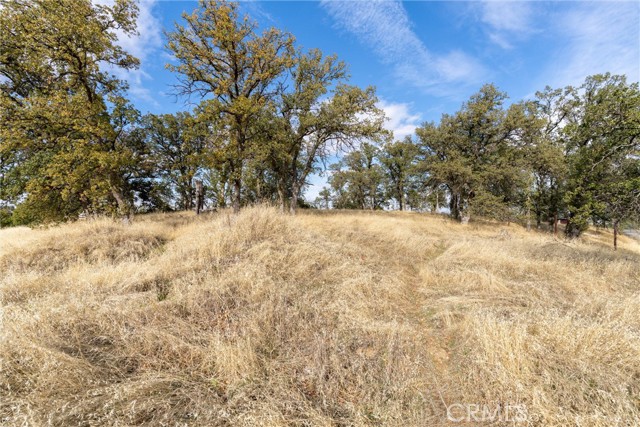 Detail Gallery Image 15 of 29 For 17333 Wagon Wheel Road, Corning,  CA 96021 - – Beds | – Baths