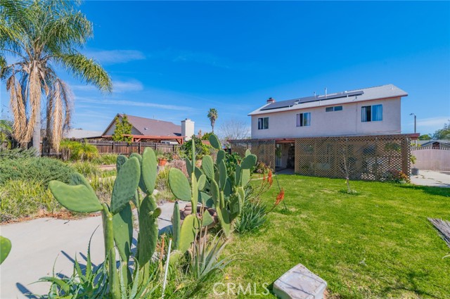 Image 36 of 42 For 13433 Nutmeg