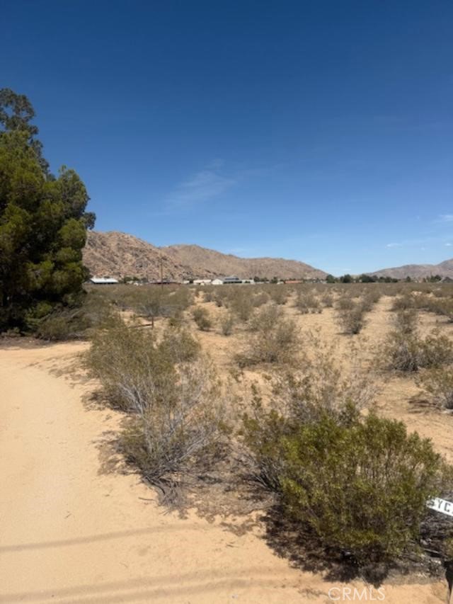Detail Gallery Image 1 of 6 For 0 Ocotilla, Apple Valley,  CA 92307 - – Beds | – Baths