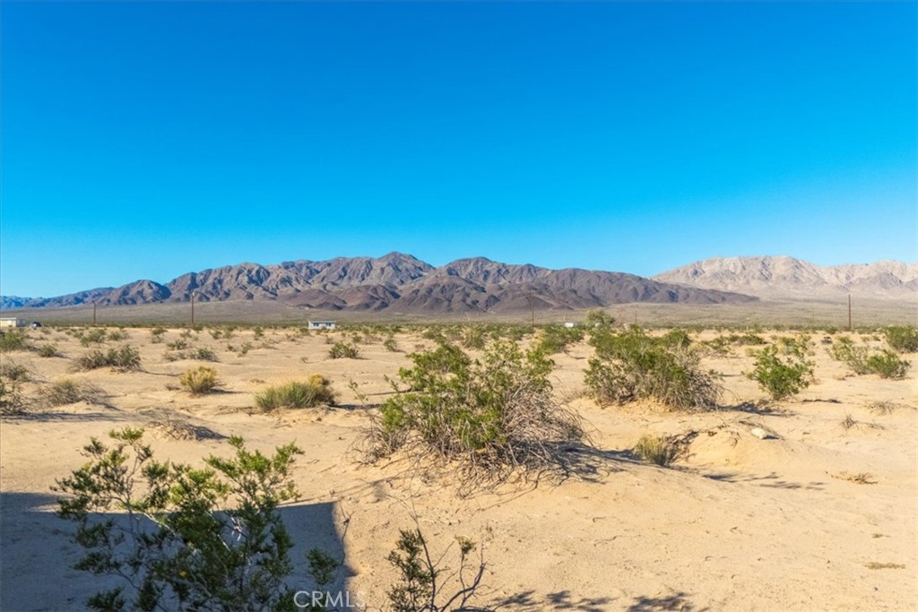 MLS #JT25233537 image #30