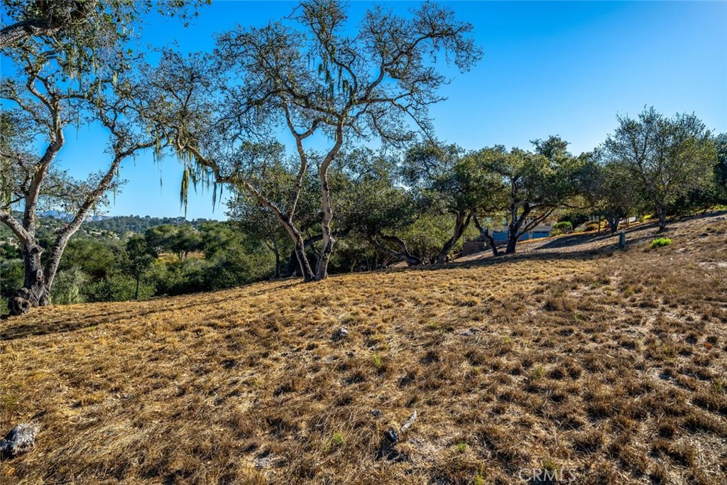 MLS #SC26152767 image #60