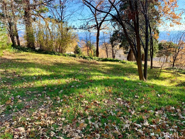 Front Image Thumbnail for CRIV25271950