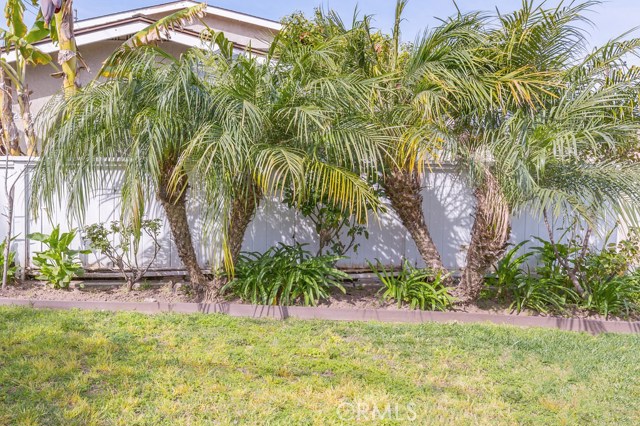 205 Lucia Avenue, Redondo Beach, California 90277, 7 Bedrooms Bedrooms, ,3 BathroomsBathrooms,Residential,Sold,Lucia,SB17052115