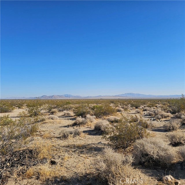 Detail Gallery Image 3 of 6 For 1234 Walker Rd, Johnson Valley,  CA 92285 - – Beds | – Baths