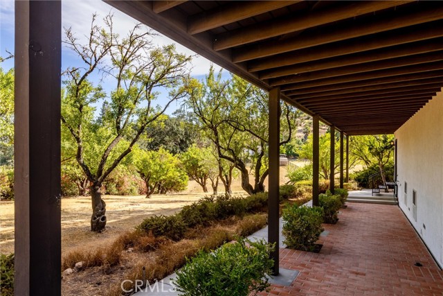 Exterior Lower Patio