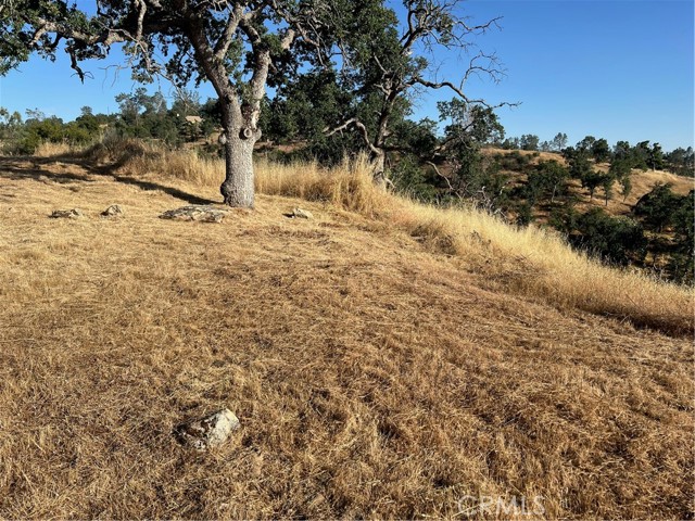 Detail Gallery Image 3 of 4 For 1578 Lilley Mountain Dr, Coarsegold,  CA 93614 - – Beds | – Baths