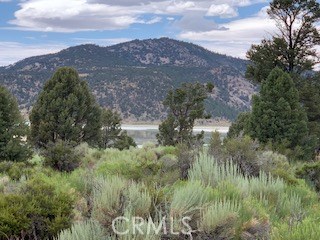 0 Ponderosa, Big Bear City, California 92314, ,Land,For Sale,0 Ponderosa,CROC20150732