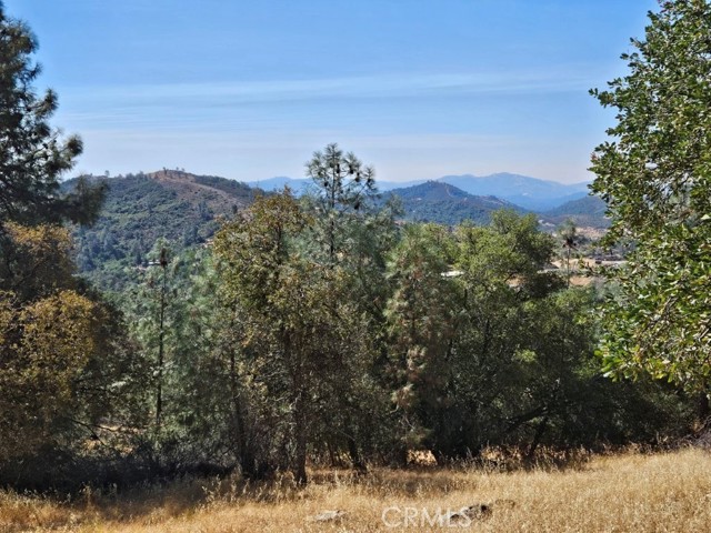 Detail Gallery Image 15 of 18 For 5640 Blue Oak Ridge Rd, Mariposa,  CA 95338 - – Beds | – Baths