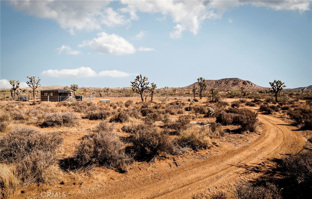 MLS #JT25252986 image #48