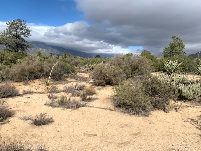 Detail Gallery Image 4 of 15 For 368 Palm Canyon Dr, Mountain Center,  CA 92561 - – Beds | – Baths