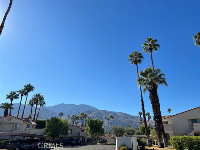 Detail Gallery Image 2 of 20 For 2701 E Mesquite, Palm Springs,  CA 92264 - 2 Beds | 2 Baths