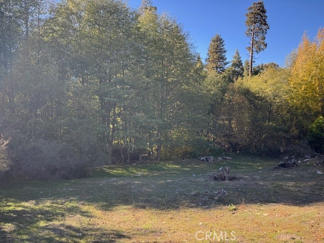 Detail Gallery Image 3 of 7 For 430 Alder Ln, Cedar Glen,  CA 92321 - – Beds | – Baths