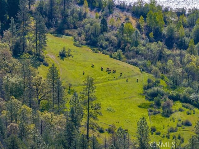 https://media.crmls.org/medias/226722cb-3d0d-4a3d-aad0-490dcd12bad7.jpg?preset=X-Large
