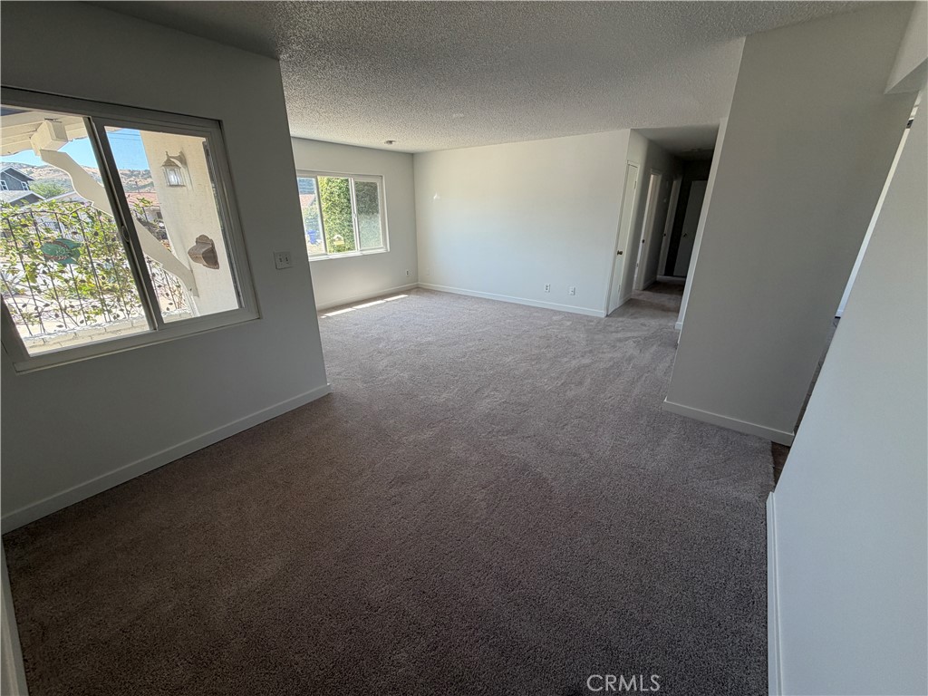 14538 Springvale Street - photo 13