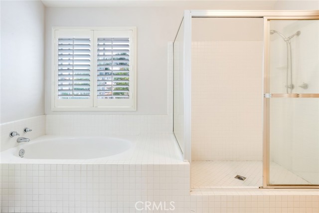 Primary Bathroom with Separate Tub and Shower
