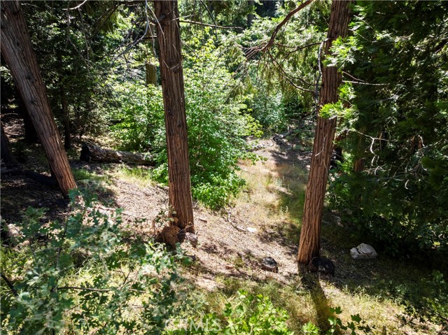 356 Ca-173, Lake Arrowhead CA: https://media.crmls.org/medias/22699116-fa40-49ec-b8d1-39eb6e3115c0.jpg