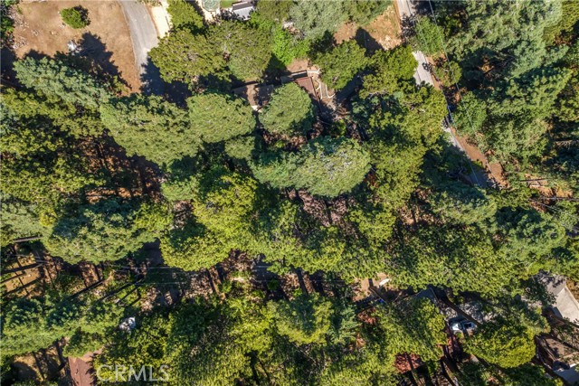 27917 Squirrel Lane, Lake Arrowhead CA: https://media.crmls.org/medias/226df5a3-2f4c-4e28-b50e-783106985fea.jpg