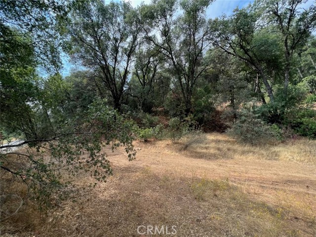 Detail Gallery Image 8 of 10 For 10 Ac Miller Rd / Old Hwy, Mariposa,  CA 95338 - – Beds | – Baths