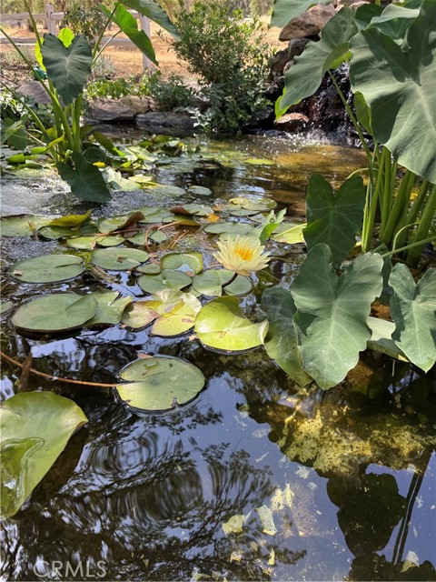 29503 Spence Lane, Tollhouse CA: https://media.crmls.org/medias/228b8f86-752e-4db2-946a-b6af937b61fe.jpg
