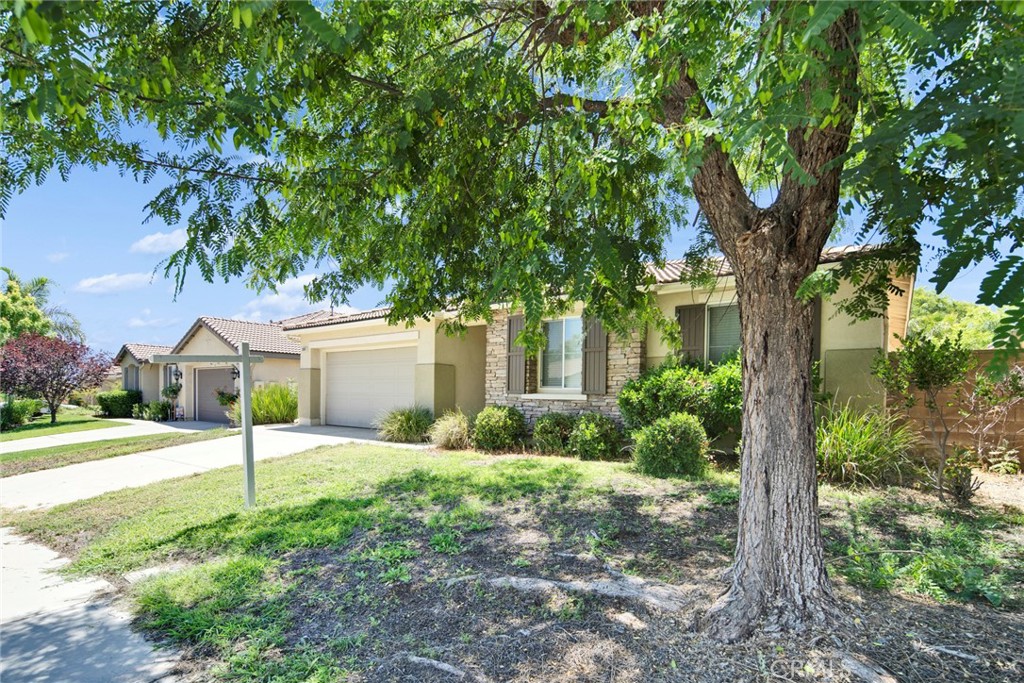 31899 Frontier Manor Street