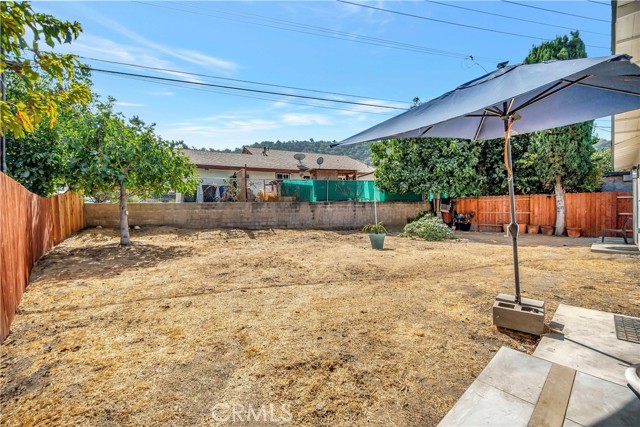 Massive back yard behind ADU with mature fig and tangerine trees