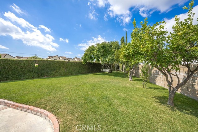 Multiple fruit trees line the back fence.