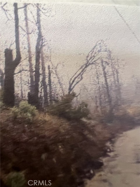 Detail Gallery Image 11 of 11 For 0 Rockerfeller Rd, Berry Creek,  CA 95916 - – Beds | – Baths