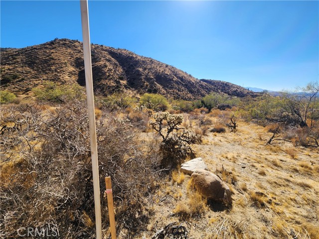 Detail Gallery Image 12 of 19 For 29 Palms Hwy, Morongo Valley,  CA 92256 - – Beds | – Baths