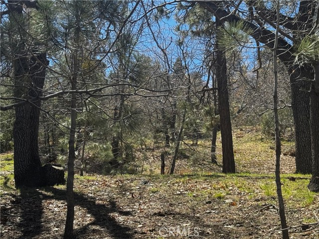 Detail Gallery Image 4 of 15 For 0 Oriole Rd, Wrightwood,  CA 92397 - – Beds | – Baths