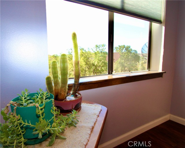 540 Pine Ridge Road, Lakeport CA: https://media.crmls.org/medias/22a08876-7053-48cd-bf28-ebc6c6f32379.jpg