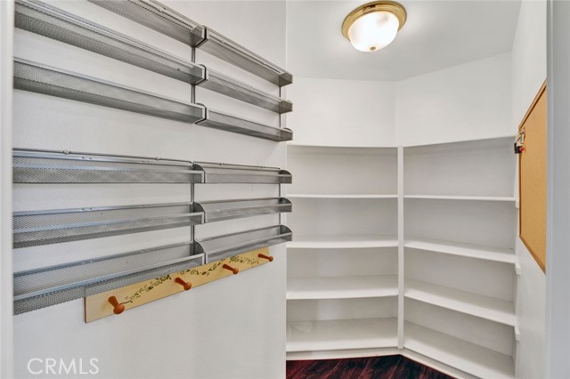 Large walk-in pantry in kitchen.