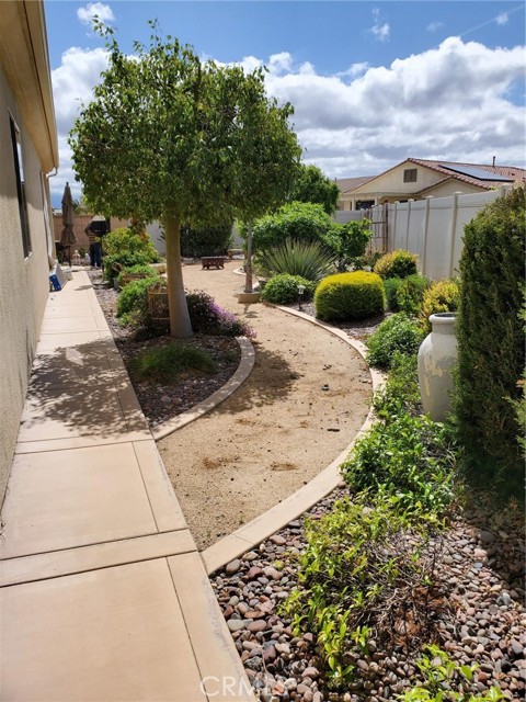 Back yard