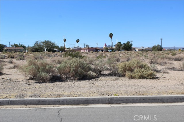 Detail Gallery Image 11 of 17 For 11 Dividing Line St, Yermo,  CA 92398 - – Beds | – Baths