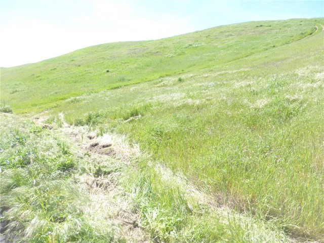 Detail Gallery Image 21 of 75 For 0 Douglas Rd. (Lots 28, 33 & 34), San Miguel,  CA 93451 - – Beds | – Baths