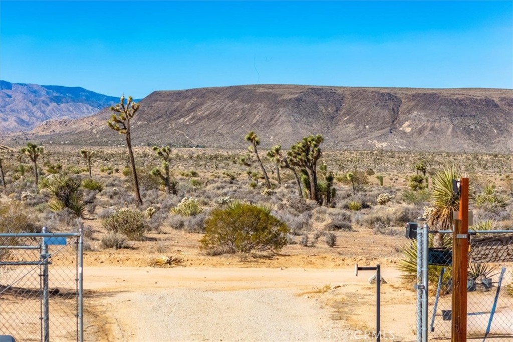 MLS #JT25248630 image #7