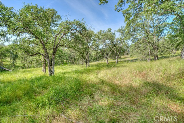 Detail Gallery Image 37 of 49 For 12 Linda Loma Dr, Oroville,  CA 95966 - 3 Beds | 2 Baths