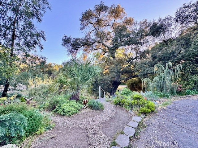 Front Image Thumbnail for CRNS26022131