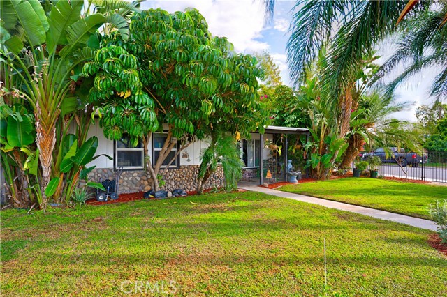 Front Image Thumbnail for CRSW25254618