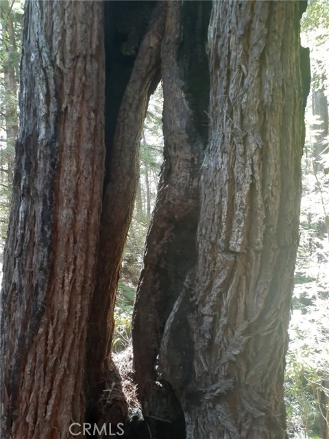 Detail Gallery Image 55 of 58 For 38160 Ocean Ridge Dr, Gualala,  CA 95445 - – Beds | – Baths