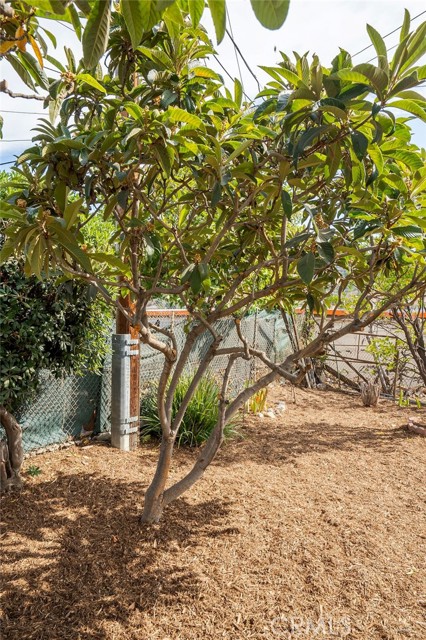 Detail Gallery Image 62 of 65 For 2050 North Eastern, Los Angeles,  CA 90032 - 2 Beds | 2 Baths