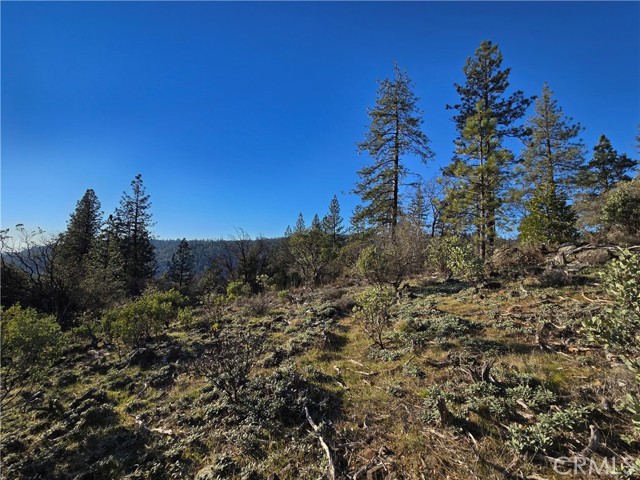 Detail Gallery Image 21 of 34 For 0 Double Eagle Way, Brownsville,  CA 95919 - – Beds | – Baths