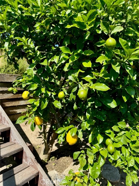 2745 Temple Hills Drive, Laguna Beach CA: https://media.crmls.org/medias/22c032a3-e728-4e57-a4c3-8786383135ba.jpg