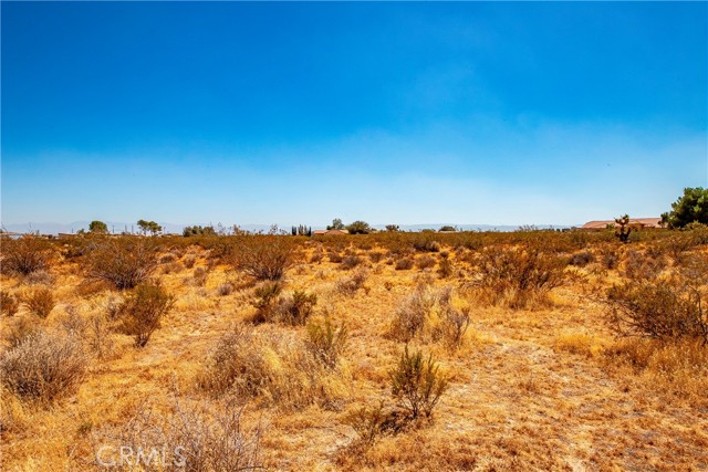  Land for Sale in Rosamond, California