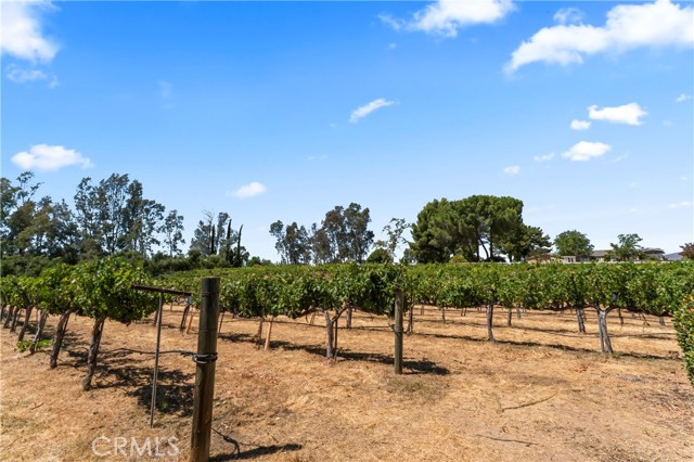 Detail Gallery Image 29 of 35 For 33735 Madera De Playa, Temecula,  CA 92592 - 3 Beds | 2/1 Baths