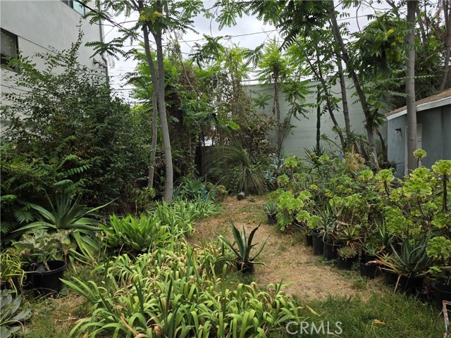 14153 Tiara Street, Van Nuys CA: https://media.crmls.org/medias/22c46130-d72c-4e69-9020-aa9e22a54522.jpg