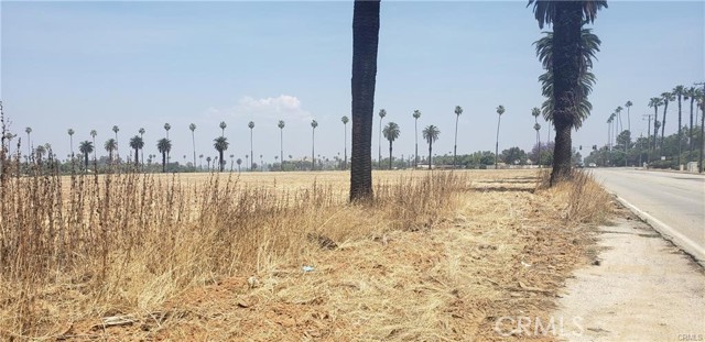 1246 Washington Street, Riverside, California 92506, ,Commercial Lease,For Rent,1246 Washington Street,CRAR24040255