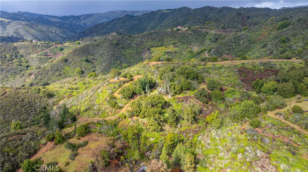 3395 Wallace Mountain Road
