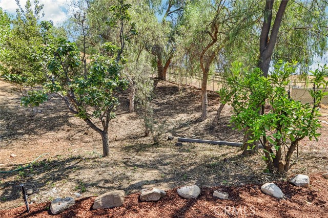 11060 Vanda Way, Shadow Hills CA: https://media.crmls.org/medias/22da2ec9-5ce4-4b11-aebe-49b219d79f04.jpg